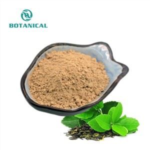 Ekstrakt zelenog čaja u prahu 98% Polyfenol