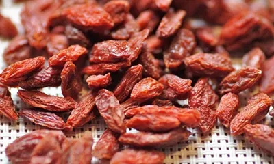 Za šta je dobar prašak od vučjih bobica?