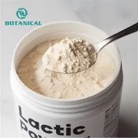 Laktički prah